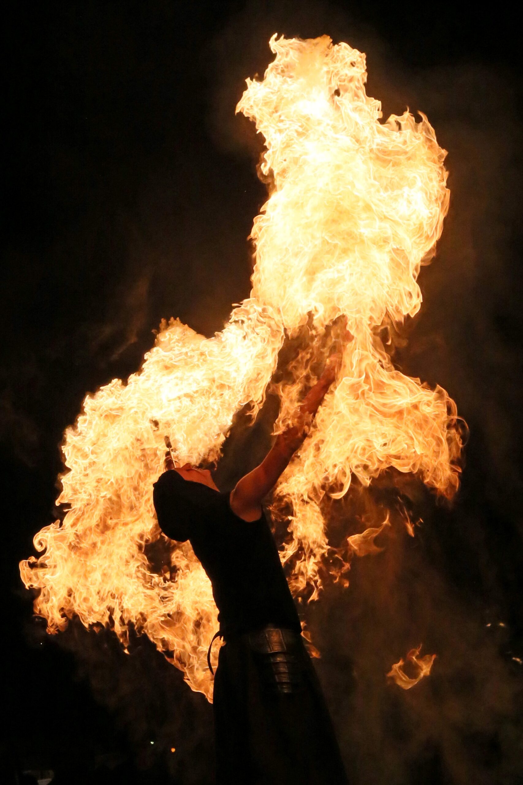 Das Feuervariete (3) klein